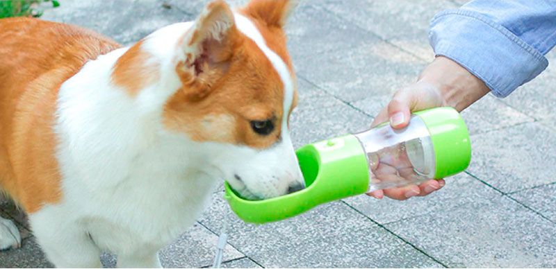Botella portátil de agua para mascotas
