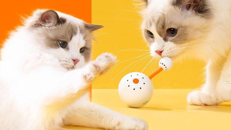 comprar Juguete inteligente para gatos Xiaomi barato