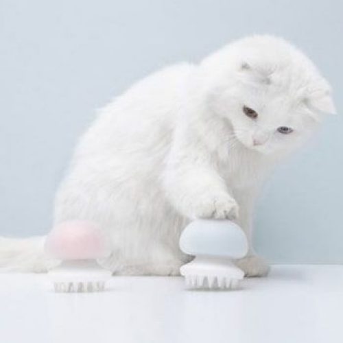 ¡Cepillo masajeador para mascotas Xiaomi por solo 9,60€!